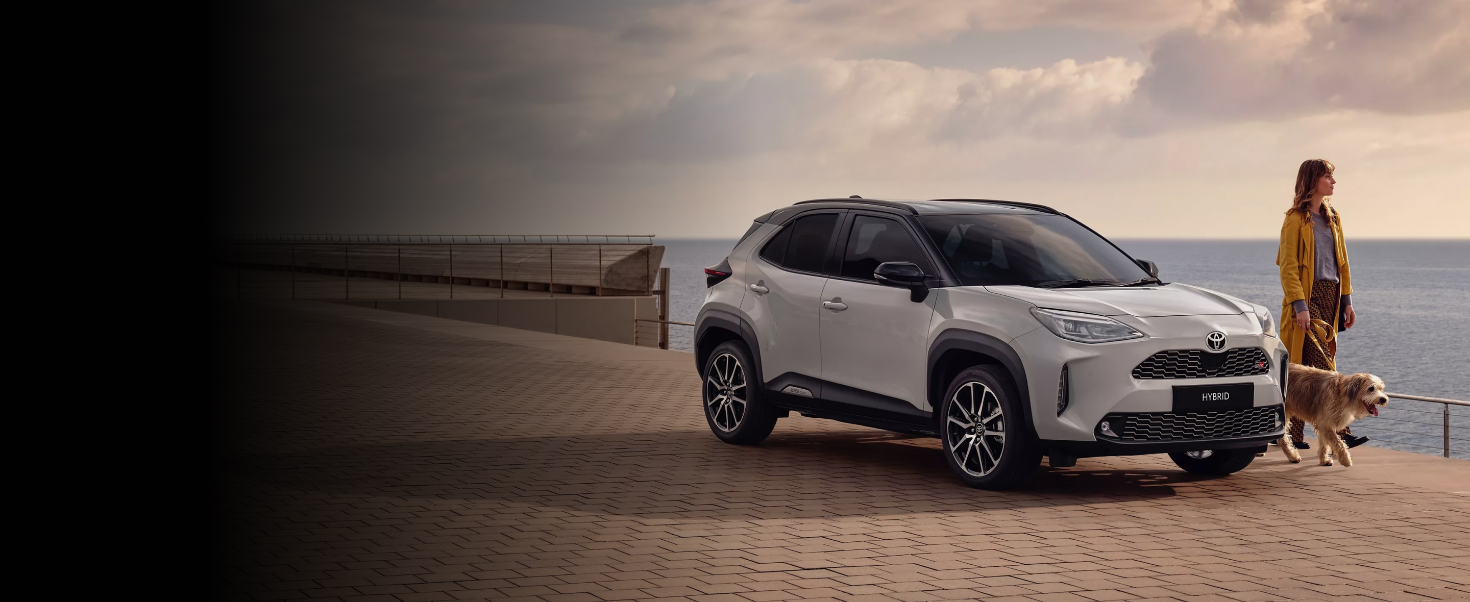 Toyota Motor Insurance